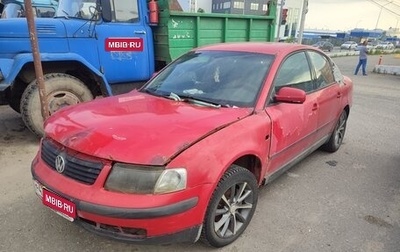 Volkswagen Passat B5+ рестайлинг, 1999 год, 90 000 рублей, 1 фотография
