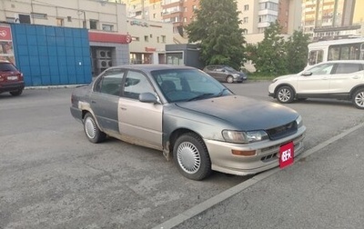 Toyota Corolla, 1993 год, 159 000 рублей, 1 фотография