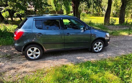 Skoda Fabia II, 2010 год, 675 000 рублей, 3 фотография