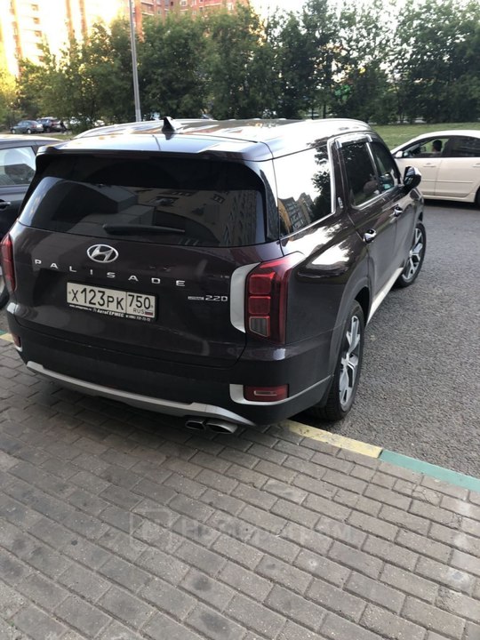 Hyundai Palisade I, 2022 год, 3 999 999 рублей, 2 фотография