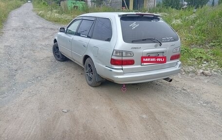 Toyota Corolla, 1998 год, 360 000 рублей, 5 фотография