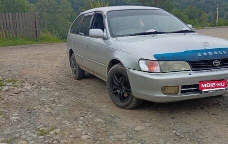 Toyota Corolla, 1998 год, 360 000 рублей, 2 фотография