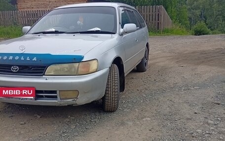 Toyota Corolla, 1998 год, 360 000 рублей, 3 фотография