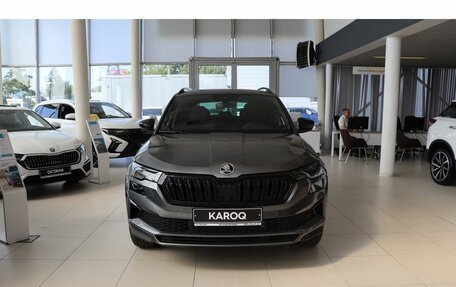 Skoda Karoq I, 2025 год, 4 500 000 рублей, 8 фотография
