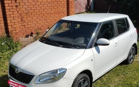 Skoda Fabia II, 2013 год, 780 000 рублей, 12 фотография