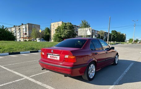 BMW 3 серия, 1995 год, 520 000 рублей, 10 фотография