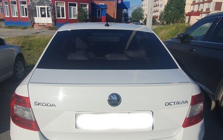 Skoda Octavia, 2016 год, 1 800 000 рублей, 17 фотография