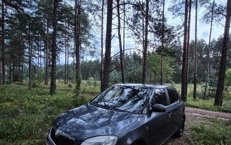 Skoda Fabia II, 2009 год, 320 000 рублей, 1 фотография