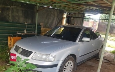 Volkswagen Passat B5+ рестайлинг, 1999 год, 310 000 рублей, 1 фотография