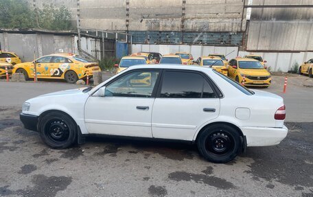 Toyota Corolla, 1999 год, 315 000 рублей, 3 фотография