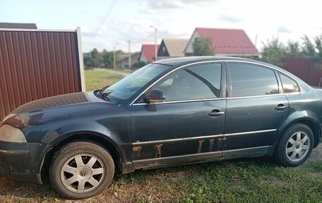 Volkswagen Passat B5+ рестайлинг, 2003 год, 400 000 рублей, 7 фотография