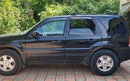 Ford Escape II, 2003 год, 370 000 рублей, 6 фотография