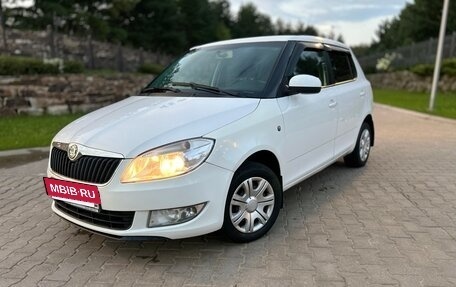 Skoda Fabia II, 2011 год, 515 000 рублей, 17 фотография