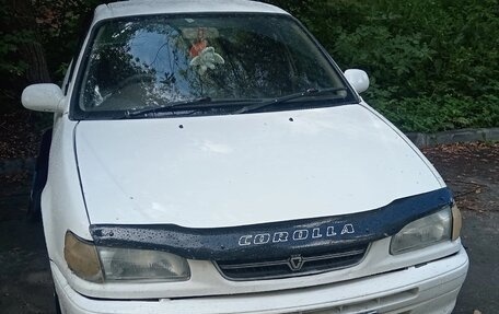Toyota Corolla, 1996 год, 225 000 рублей, 1 фотография