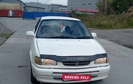 Toyota Corolla, 1996 год, 225 000 рублей, 2 фотография