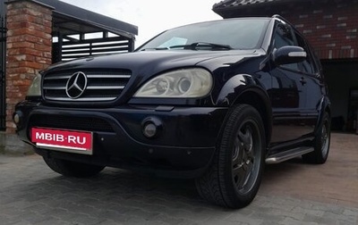 Mercedes-Benz M-Класс, 2002 год, 690 000 рублей, 1 фотография