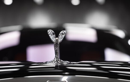 Rolls-Royce Cullinan, 2025 год, 50 000 000 рублей, 7 фотография
