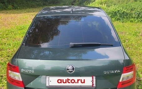 Skoda Octavia, 2019 год, 1 950 000 рублей, 7 фотография