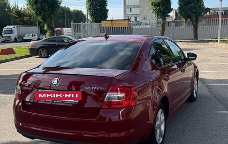 Skoda Octavia, 2016 год, 1 000 000 рублей, 3 фотография