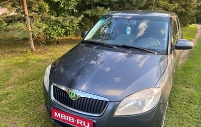 Skoda Fabia II, 2009 год, 480 000 рублей, 1 фотография