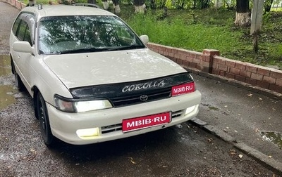 Toyota Corolla, 1999 год, 300 000 рублей, 1 фотография