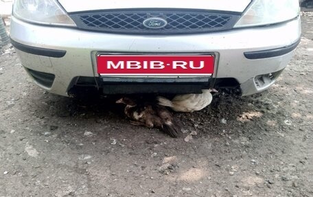 Ford Focus IV, 2004 год, 250 000 рублей, 4 фотография