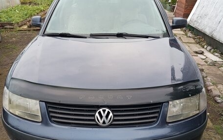 Volkswagen Passat B5+ рестайлинг, 1998 год, 400 000 рублей, 1 фотография