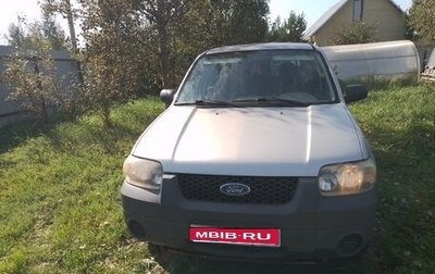 Ford Escape II, 2004 год, 700 000 рублей, 1 фотография