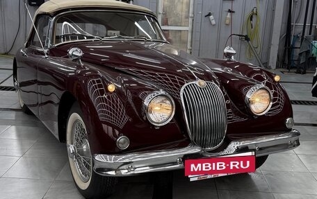 Jaguar XK, 1958 год, 11 000 000 рублей, 2 фотография