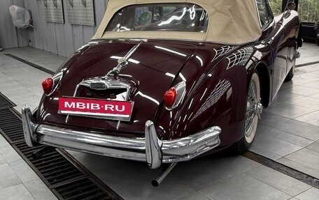 Jaguar XK, 1958 год, 11 000 000 рублей, 3 фотография