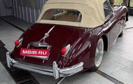 Jaguar XK, 1958 год, 11 000 000 рублей, 6 фотография