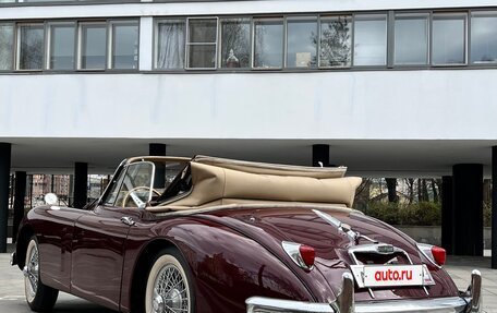 Jaguar XK, 1958 год, 11 000 000 рублей, 15 фотография