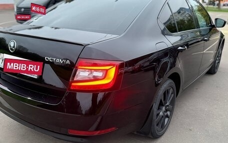 Skoda Octavia, 2018 год, 2 300 000 рублей, 9 фотография