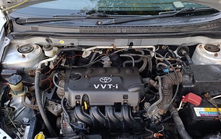 Toyota Corolla, 2004 год, 620 000 рублей, 13 фотография