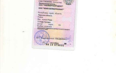 Skoda Rapid I, 2020 год, 600 000 рублей, 8 фотография