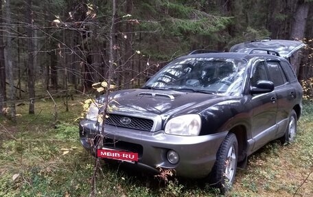 Hyundai Santa Fe III рестайлинг, 2002 год, 350 000 рублей, 2 фотография