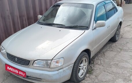 Toyota Corolla, 1998 год, 270 000 рублей, 1 фотография