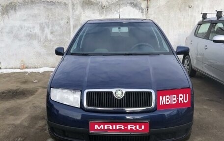 Skoda Fabia I, 2007 год, 300 000 рублей, 1 фотография
