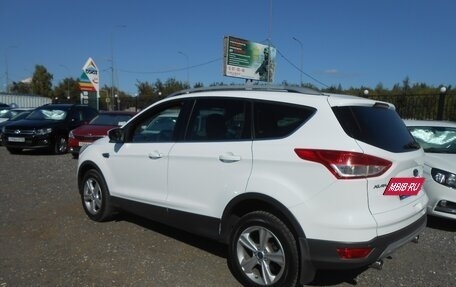 Ford Kuga III, 2014 год, 1 320 000 рублей, 2 фотография