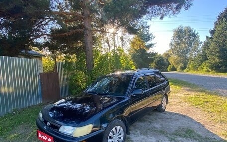 Toyota Corolla, 1995 год, 300 000 рублей, 1 фотография