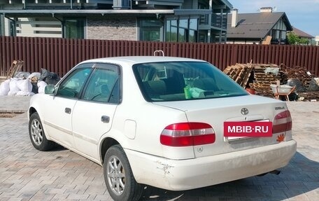 Toyota Corolla, 1999 год, 265 000 рублей, 2 фотография