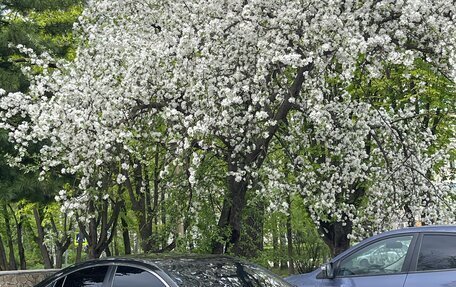Mazda 6, 2008 год, 780 000 рублей, 6 фотография