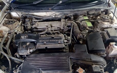 Mazda Familia, 2002 год, 300 000 рублей, 1 фотография