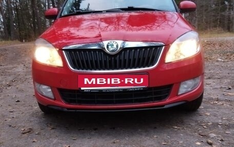Skoda Fabia II, 2012 год, 520 000 рублей, 13 фотография