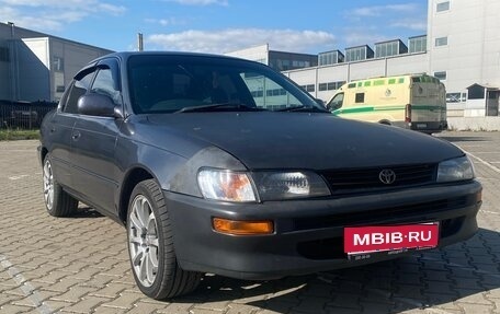 Toyota Corolla, 1992 год, 300 000 рублей, 1 фотография