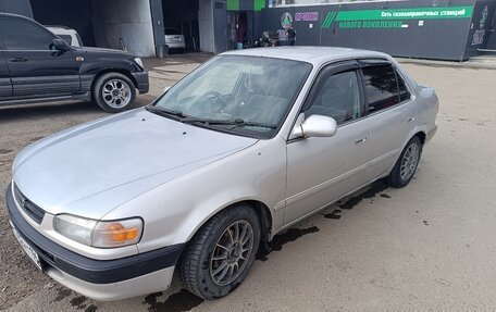 Toyota Corolla, 1996 год, 295 000 рублей, 13 фотография