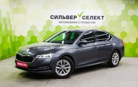 Skoda Octavia IV, 2020 год, 2 200 000 рублей, 1 фотография