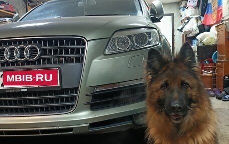 Audi Q7, 2006 год, 1 400 000 рублей, 1 фотография