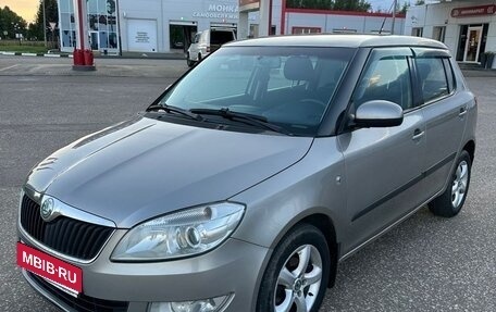 Skoda Fabia II, 2011 год, 450 000 рублей, 11 фотография