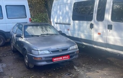 Toyota Corolla, 1996 год, 150 000 рублей, 1 фотография
